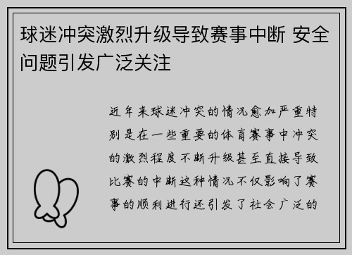球迷冲突激烈升级导致赛事中断 安全问题引发广泛关注