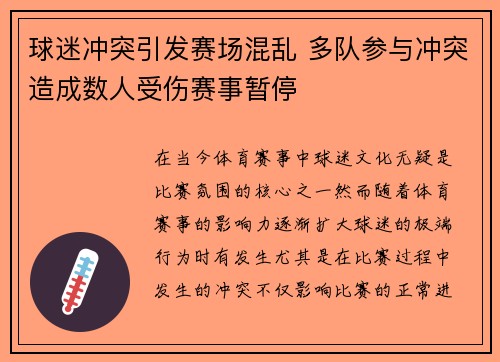 球迷冲突引发赛场混乱 多队参与冲突造成数人受伤赛事暂停
